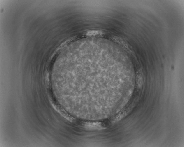 X0000085070375200704021417