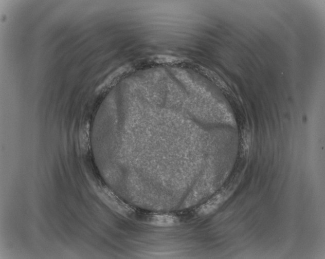 X0000085070376200704021417