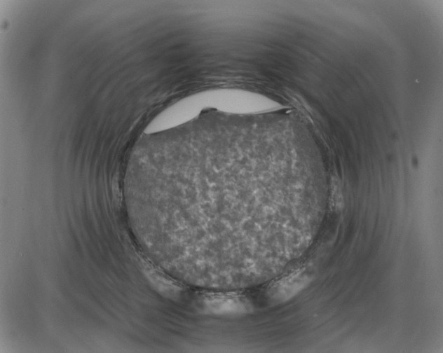 X0000085070377200704021417