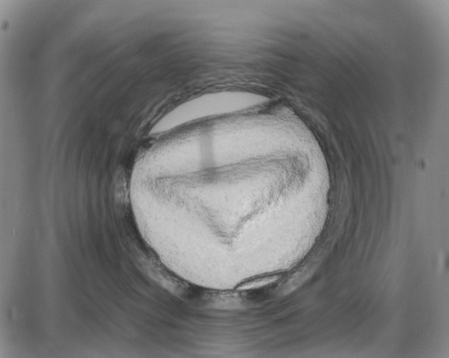 X0000085070384200704021417