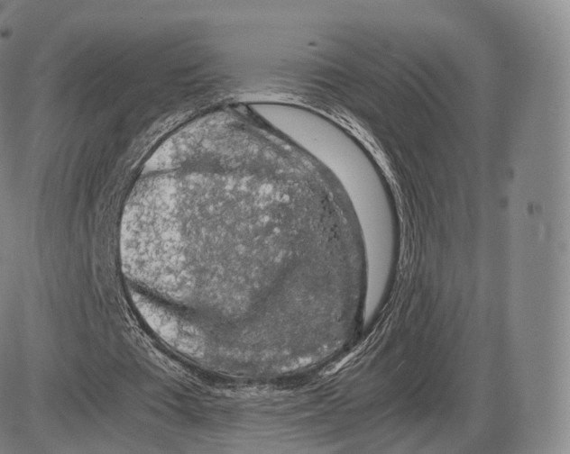 X0000085070385200704021416