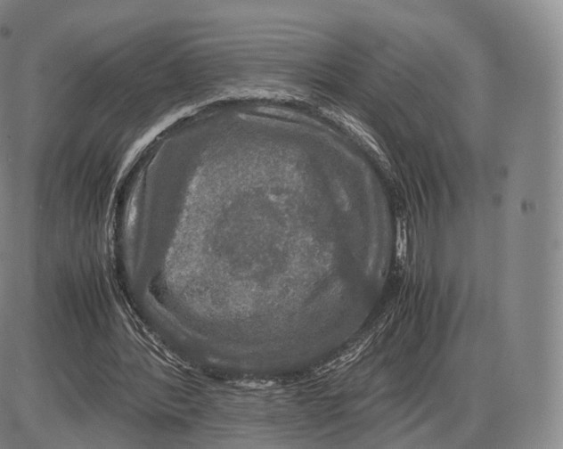 X0000085070388200704021416