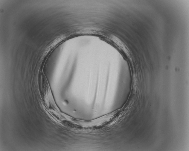 X0000085070389200704021416