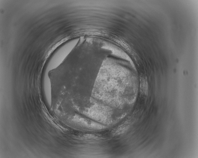 X0000085070390200704021416