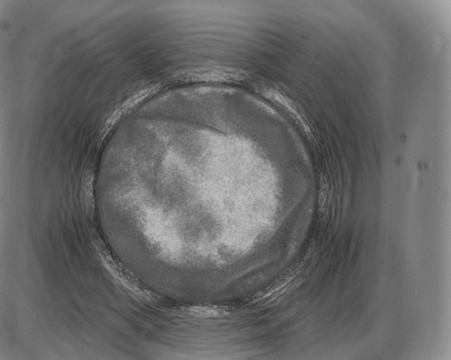 X0000085070394200704021416