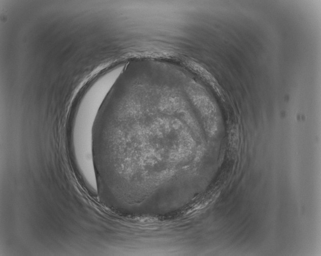 X0000085070395200704021416