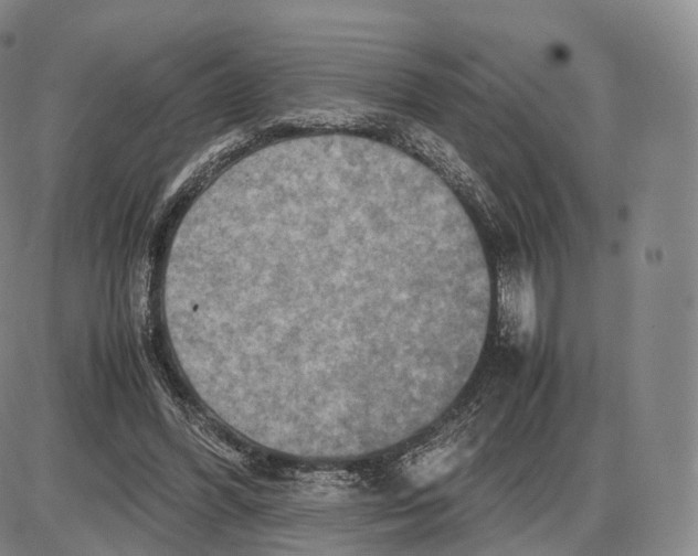 X0000085070396200704021416