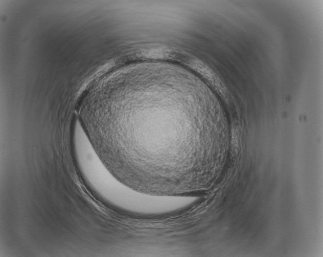 X0000085070397200704021416