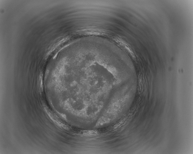 X0000085070398200704021416