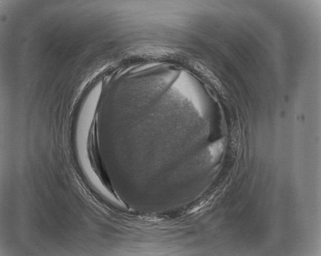 X0000085070399200704021416