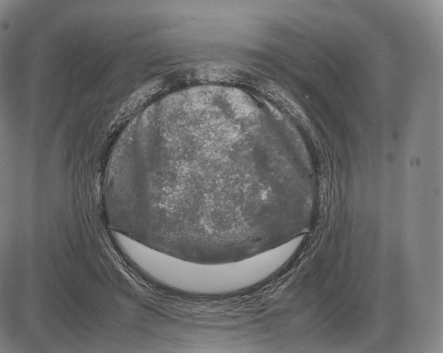 X0000085070401200704021416