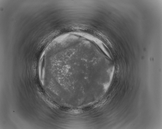 X0000085070402200704021416