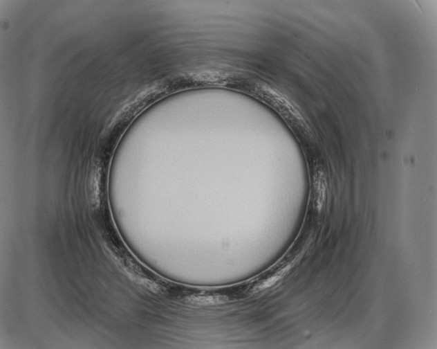 X0000085070404200704021416