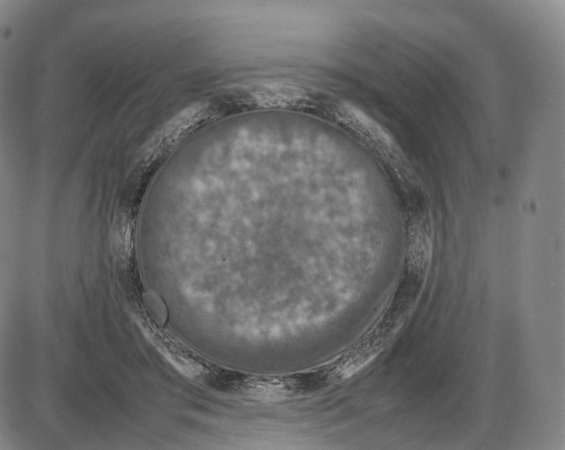 X0000085070405200704021416