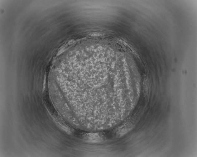 X0000085070406200704021416