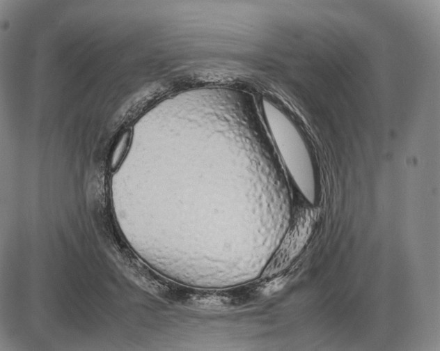 X0000085070407200704021416