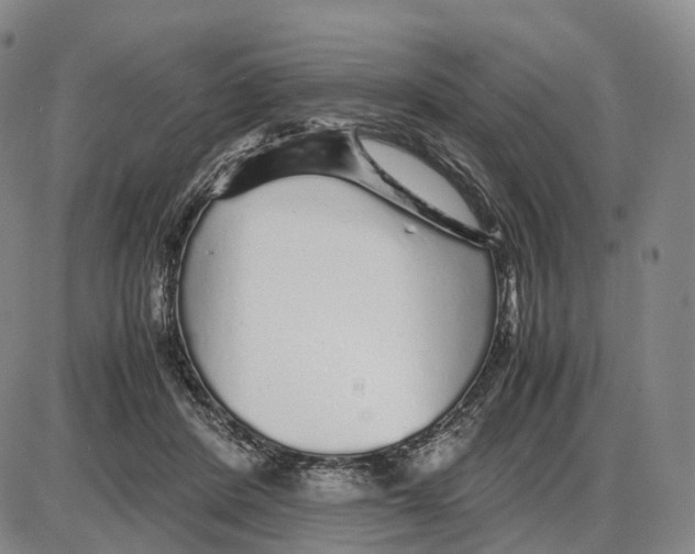 X0000085070408200704021416