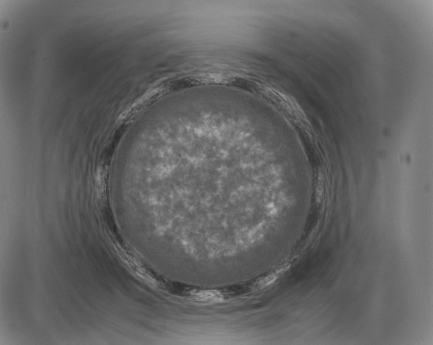 X0000085070409200704021416