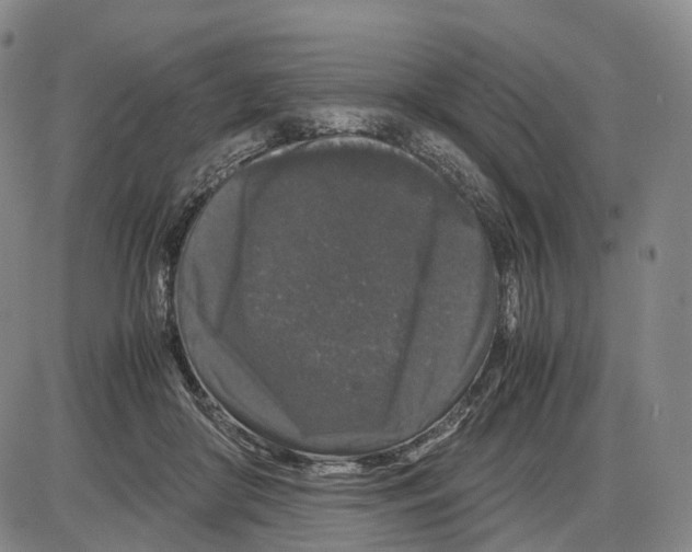 X0000085070410200704021416