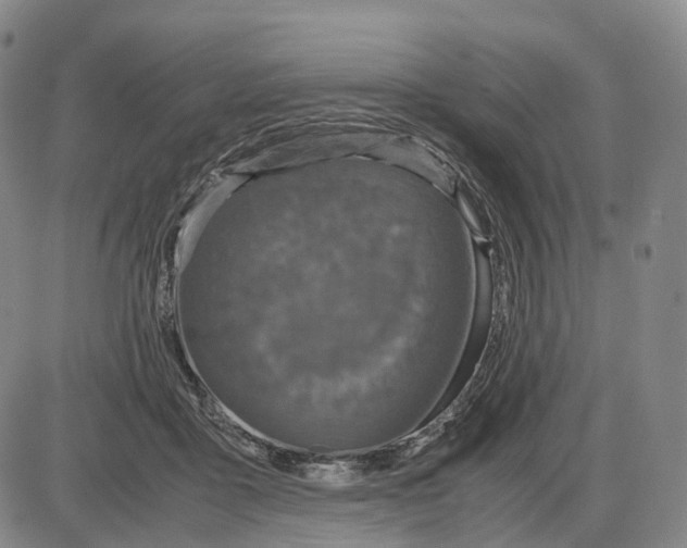 X0000085070411200704021416