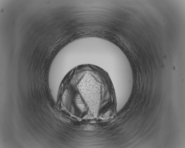 X0000085070412200704021416