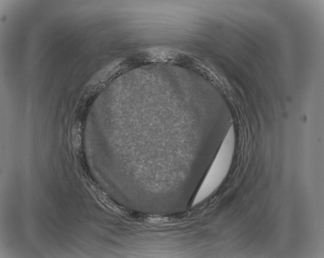 X0000085070413200704021416