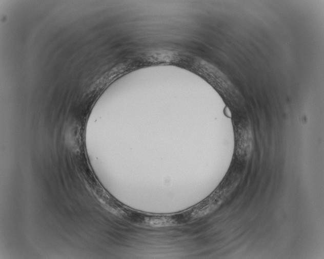 X0000085070414200704021416