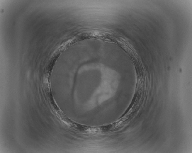 X0000085070415200704021416