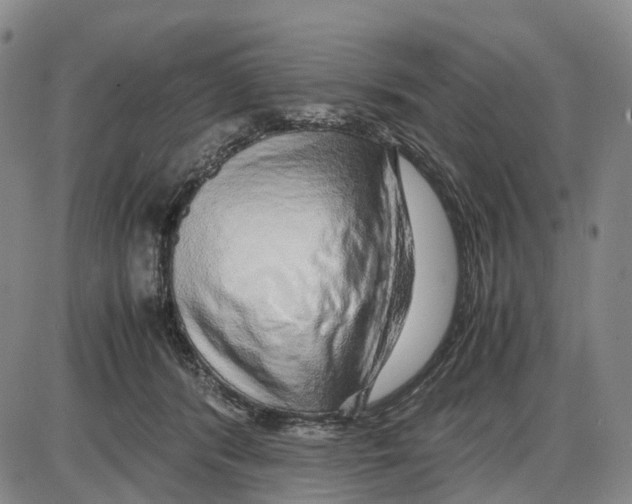 X0000085070416200704021416