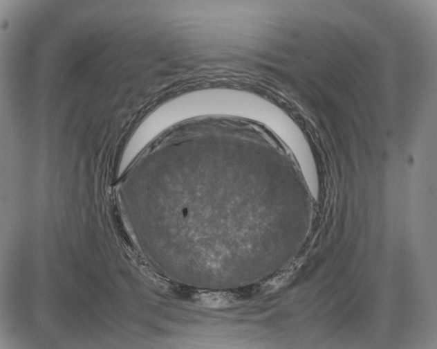 X0000085070417200704021416