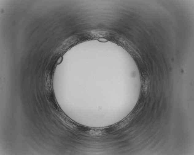 X0000085070418200704021416