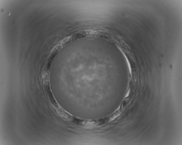 X0000085070419200704021416