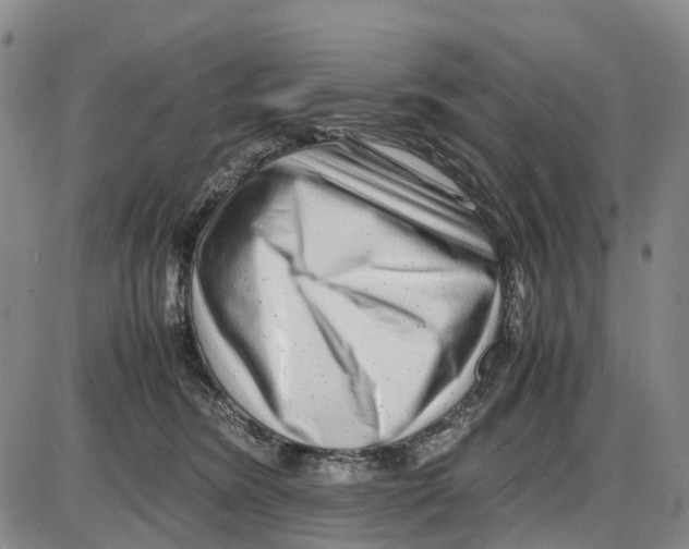 X0000085070420200704021416