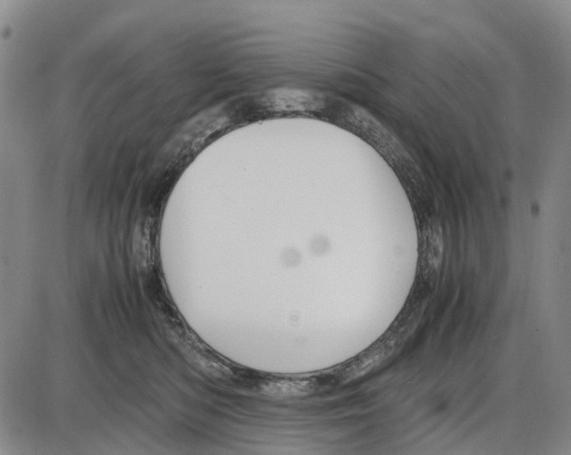 X0000085070422200704021416