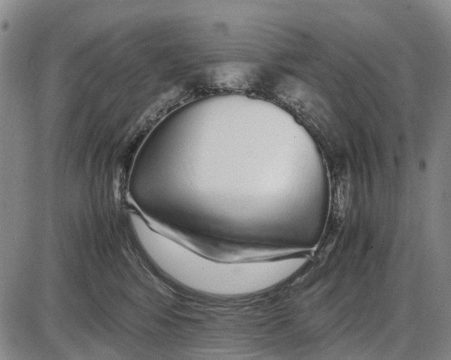 X0000085070424200704021416