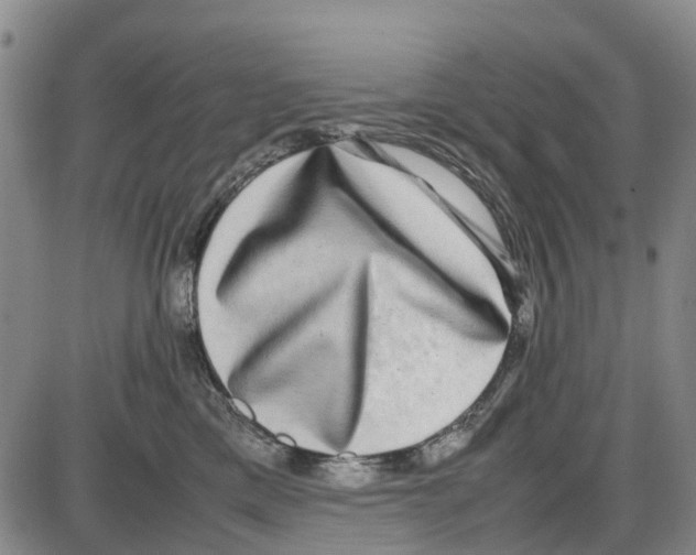 X0000085070425200704021416