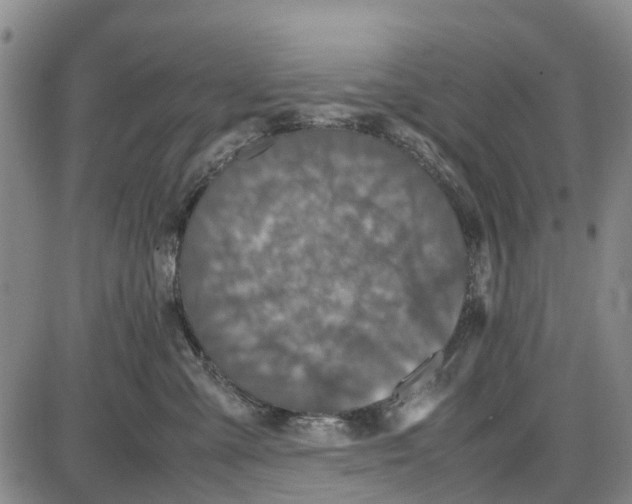 X0000085070427200704021416