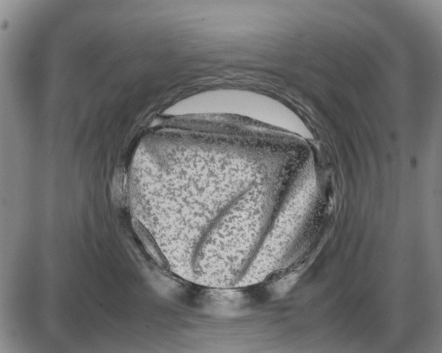 X0000085070429200704021416