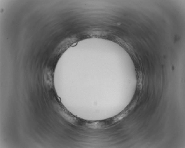 X0000085070430200704021416