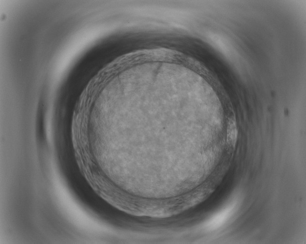 X0000085070431200704021416