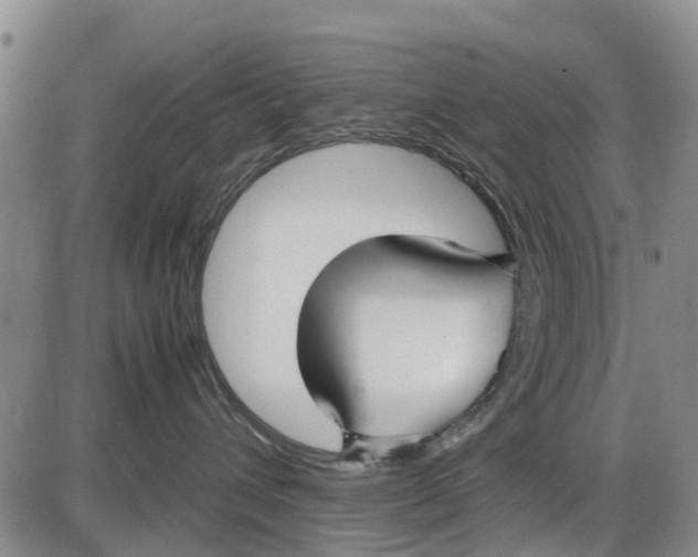 X0000085070432200704021416