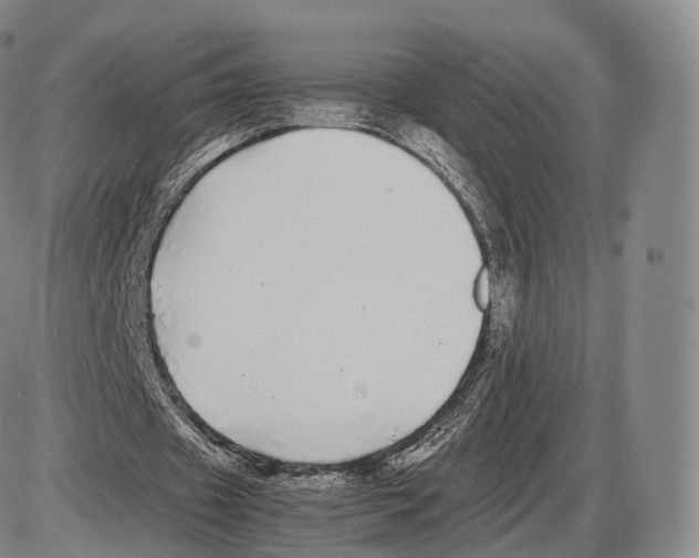 X0000085070433200704021415