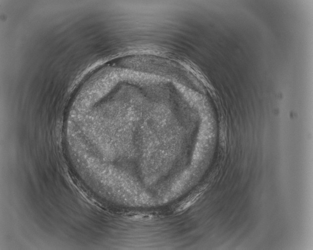 X0000085070434200704021415