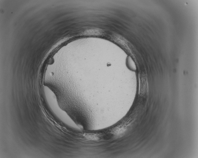 X0000085070435200704021415