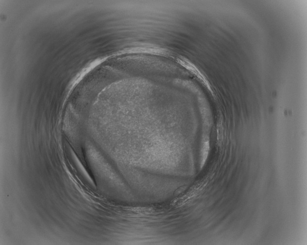 X0000085070436200704021415