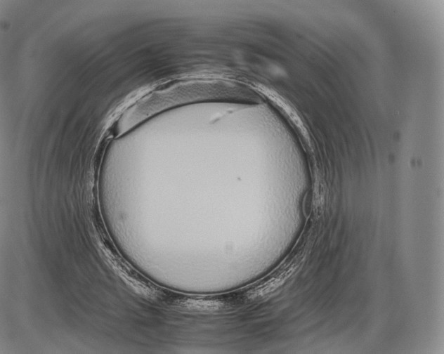 X0000085070437200704021415