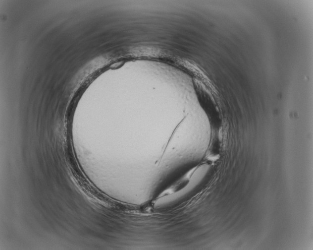 X0000085070439200704021415