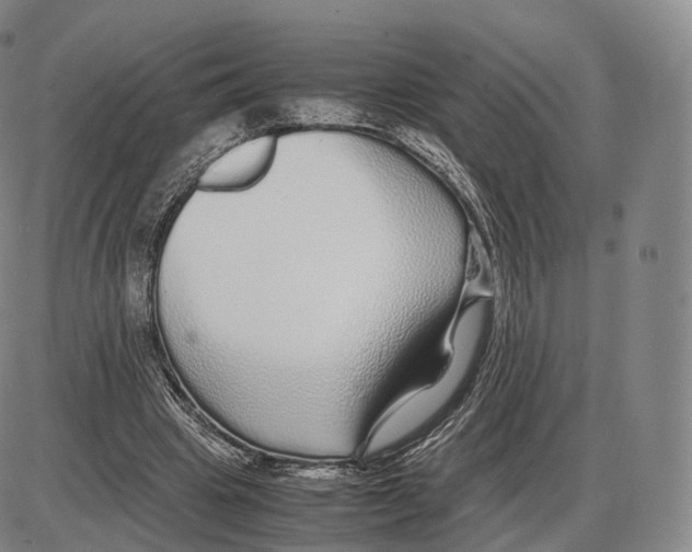 X0000085070441200704021415