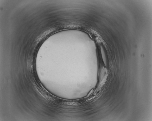 X0000085070443200704021415