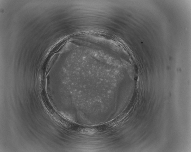 X0000085070444200704021415